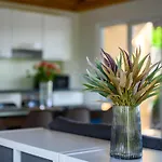 Tatil Evi Koeroes-parti Terasz Vendeghaz