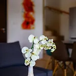 Koeroes-parti Terasz Vendeghaz Tatil Evi *