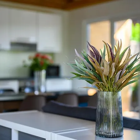 Tatil Evi Koeroes-parti Terasz Vendeghaz