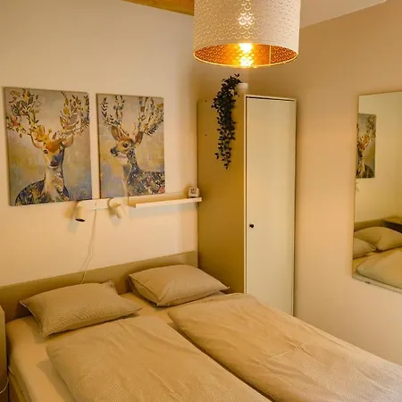 Tatil Evi Koeroes-parti Terasz Vendeghaz