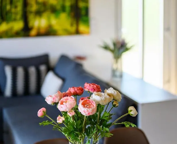 Koeroes-parti Terasz Vendeghaz * Békésszentandrás