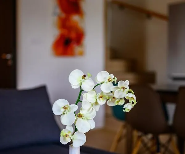 Koeroes-parti Terasz Vendeghaz Case de vacanță *