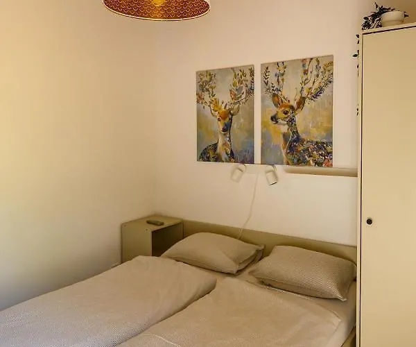 Koeroes-parti Terasz Vendeghaz Case de vacanță