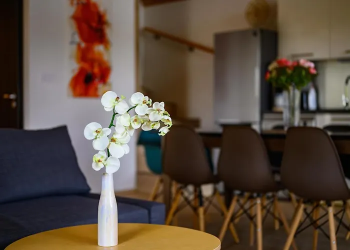 Koeroes-parti Terasz Vendeghaz